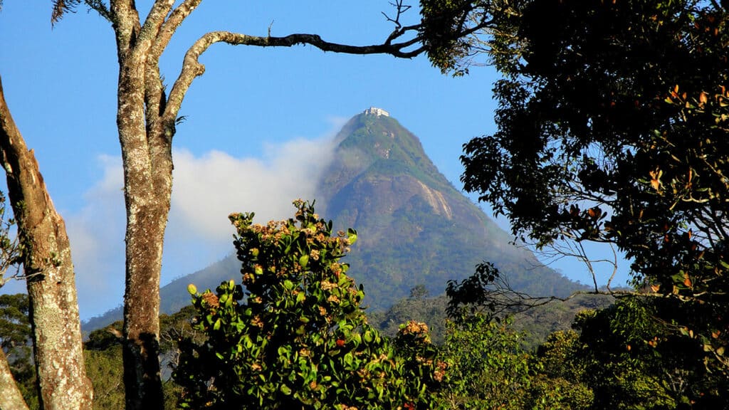 la montagne adams peak au Sri Lanka