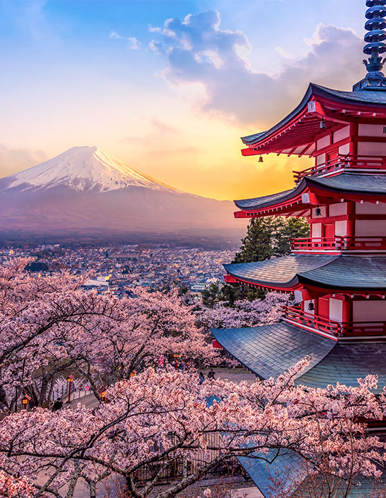 Découvrir le Japon à l'occasion de l'exposition universelle 2025 avec Calliope travel